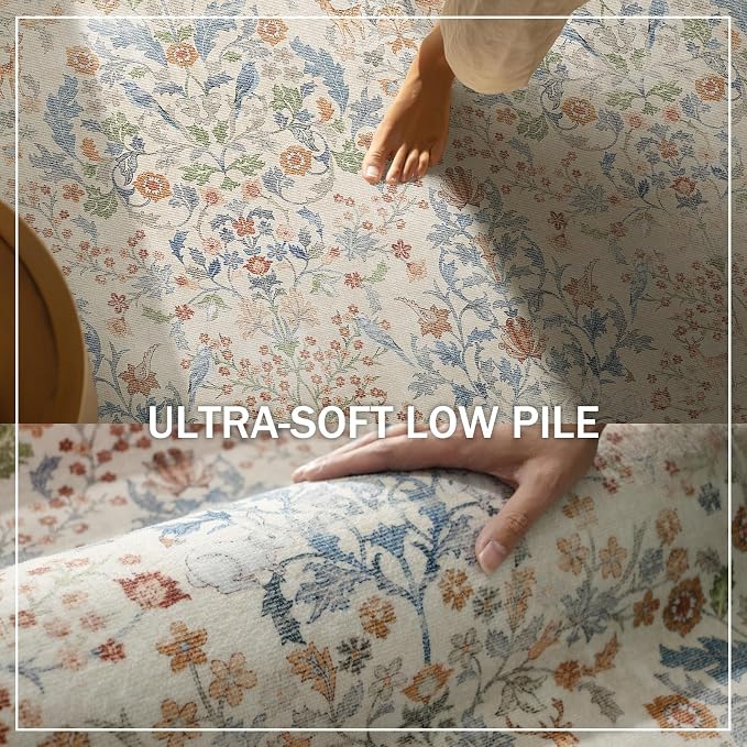 Machine Washable 2x3 Rugs for Entryway: Door Mat Indoor Entrance Small Area Rug Non-Slip Low Pile Kitchen Throw Rug for Front Door Indoor Entrance Bedside Entry Kids Room
