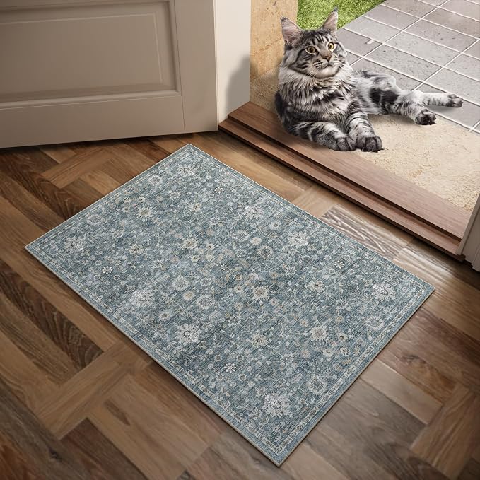 Machine Washable Entryway Small Area Rugs: Soft Non-Slip Low Pile Door Mat Indoor Entrance 2x3 ThrowRug for High-Traffic Areas Kitchen, Hallway, Farmhouse Decor