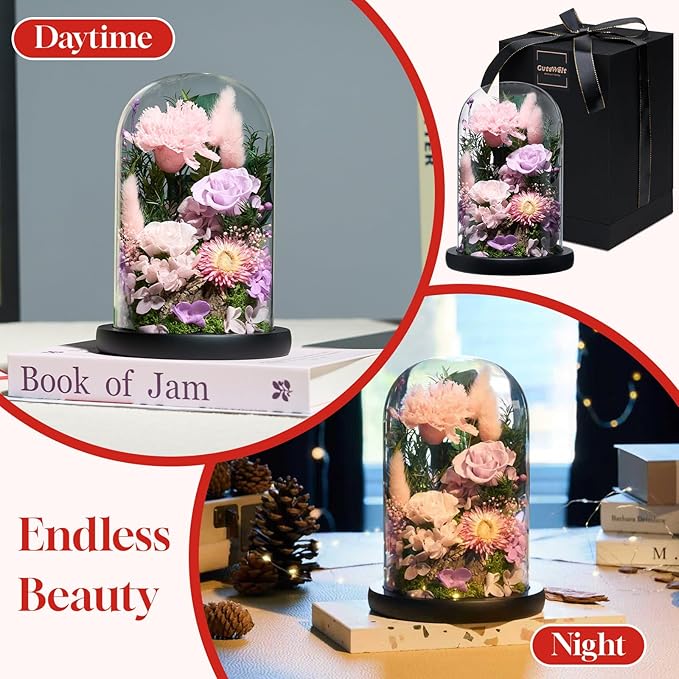 Preserved Roses,Forever Fresh Flowers 7.48in,Gift for Women,Mom,Grandma,Wife,Girlfriend,Sister,and Daughter Perfect for Birthday,Mother’s Day,Valentine’s Day (Sweetheart Carnation4)