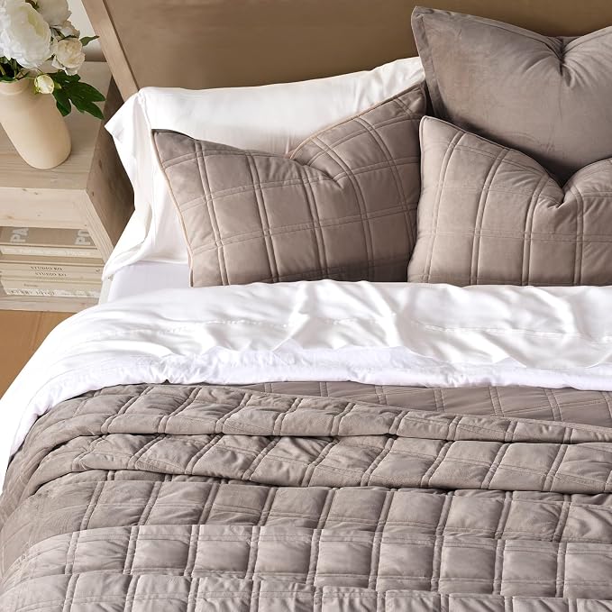 EverGrace 3 Pieces Luxurious Velvet Quilt Queen Size, Ultra Soft Bedspread Coverlet Set, Double Box Stitch Lightweight Velvet Comforter for All Season with 2 Shams, Truffle Taupe, 92"x96"
