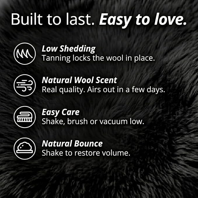 Genuine Sheepskin Rug 2x3 Ft – Soft & Fluffy Single Pelt Black Lambskin – Area Rug or Chair Cover Throw – Made in Argentina