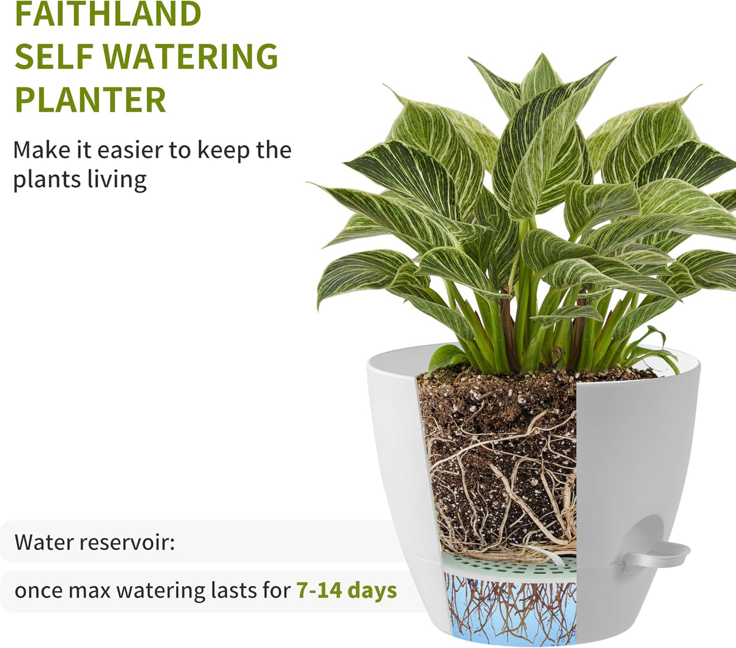 FaithLand 3-Pack Planter Pots, 10 9 8 Inch Self Watering Flower Pots for Indoor Outdoor Garden Plants, White