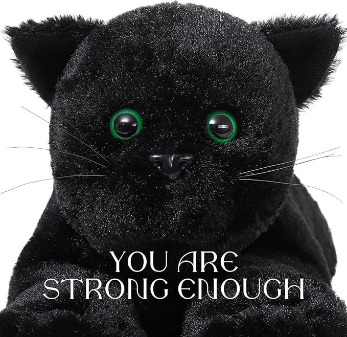 MaoGoLan 5Pcs Black Cat Plush with 4 Babies Inside - 20" Big Black Cat Stuffed Animals - Realistic and Soft Halloween Plushies Gift for Cat Lover,Women,Girls,Kids