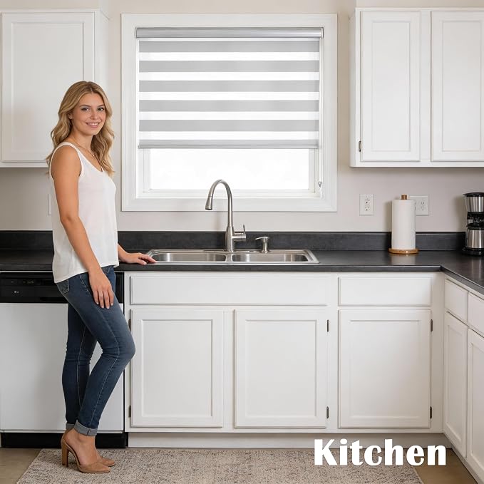 Zebra Roller Shades, Dual Layer Roll Up Blind for Living Room, Semi Sheer Shades Window Privacy Light Control for Day and Night, (Maximum Height 72inch, White Color, Width 23 inch)