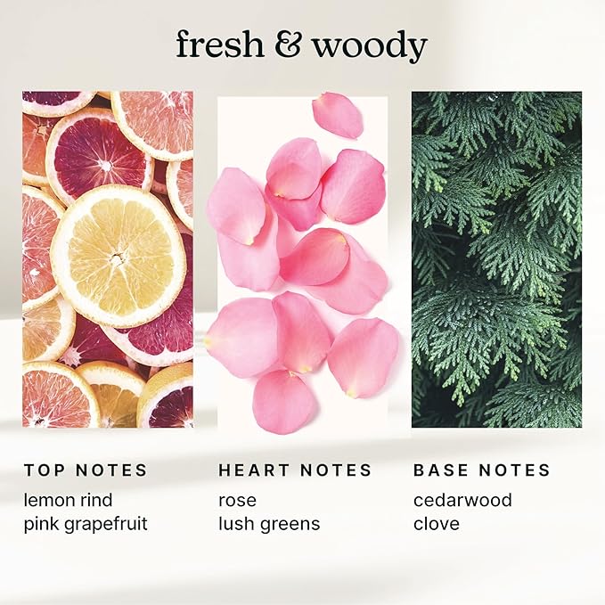 Homedics SereneScent Waterless Diffuser Oil Refill — Tokyo Tea (120ml). Clean, Safe, Bright & Refreshing Hotel-Inspired Home Fragrance. Compatible with SereneScent Diffusers. Easy Twist Plug & Play