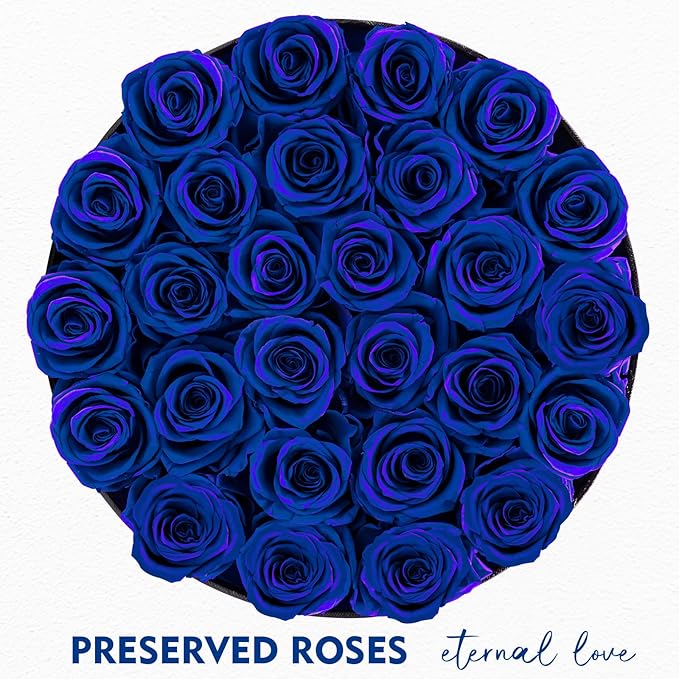 Impouo Forever Flowers, 27 Roses in A Box, Real Preserved Roses, Birthday Gift for Women, Mother's Day, Anniversary Blue Rose