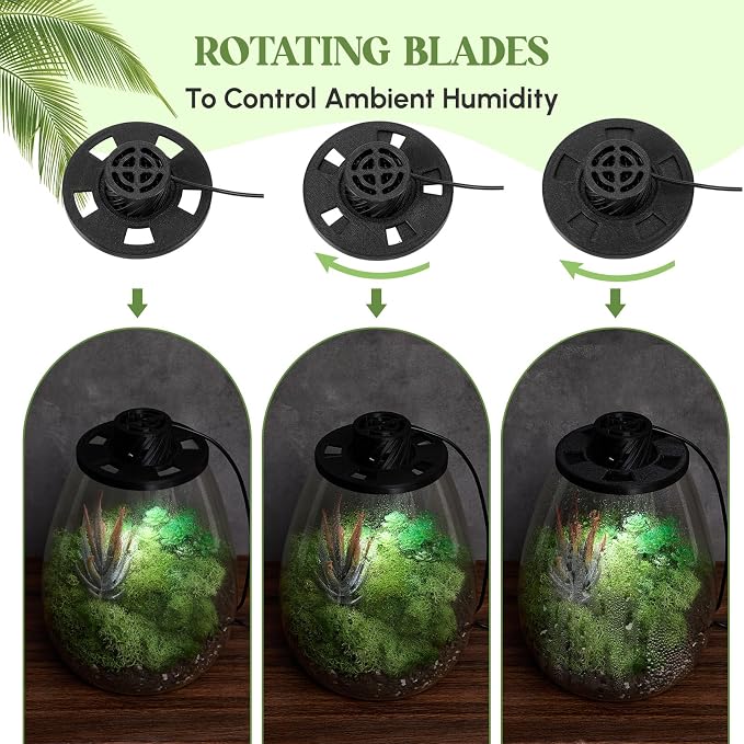 Maxdot Glass Plant Terrarium Kit with LED Grow Light, Desk Terrarium for Venus Fly Trap, Succulents, Moss & Miniature Garden, Borosilicate Glass Desktop Planter for Home Office(6.9 x 7.8 Inch)