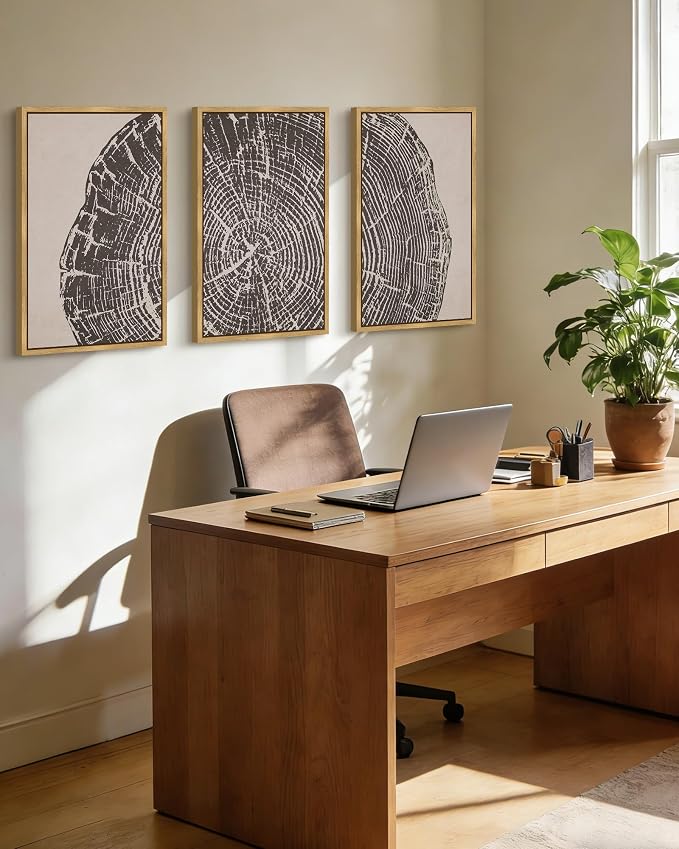 PHOPAGO Farmhouse Vintage Framed Wall Art Large 16x24in Set Gray Wood Tree Ring Spirals Nature Abstract Drawings Rustic Modern Art Decor for Living Room Bedroom - Natural Framed