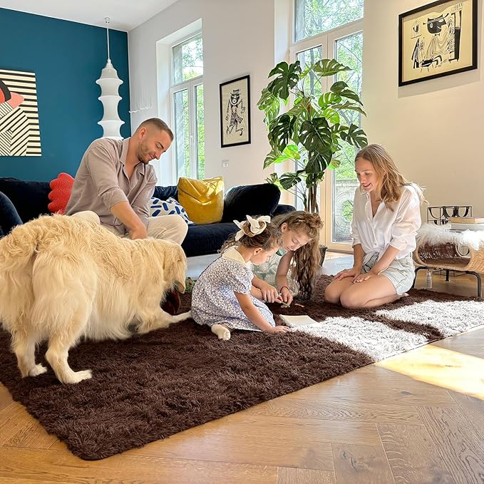 OLANLY 7x10 Machine Washable Large Area Rugs for Living Room, Bedroom, Soft Fluffy Shaggy Bedside Rug, Indoor Floor Carpet for Kids Girls and Boys, Dorms, Nursery, Home Decor Aesthetic, Coffee