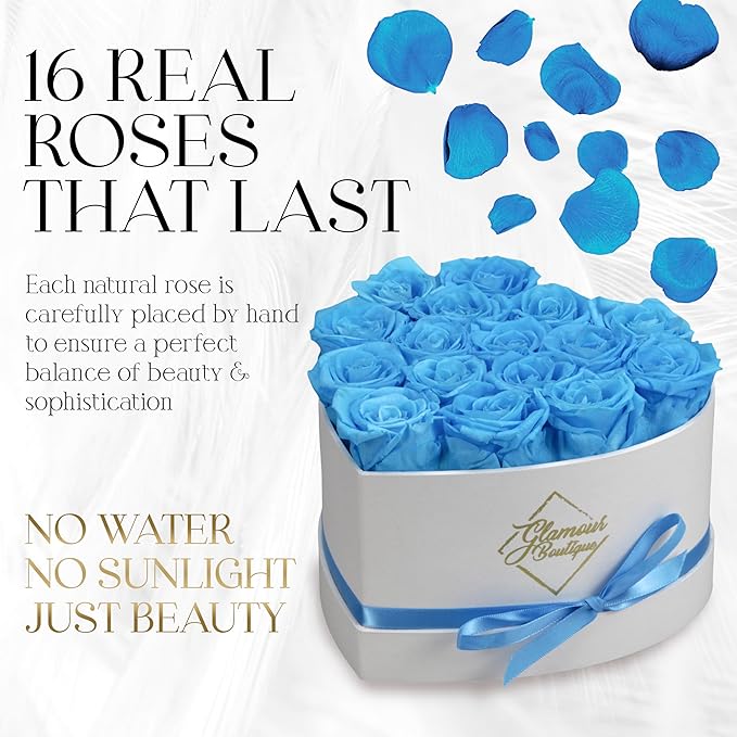 GLAMOUR BOUTIQUE Preserved Roses in a Box - Gifts for Her, Wife & Mom, Rose Flowers Forever Decor for Birthday Gift, Get Well Flower Bouquet Cased in White Box with Cover - Teal - 16 (Color-Treated)