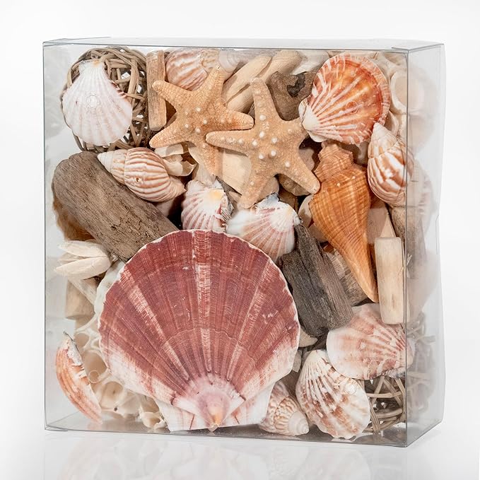 ANDALUCA Maison Box Fragrance Potpourri Decorative Vase & Bowl Filler Home Décor (Coastal Seashells)