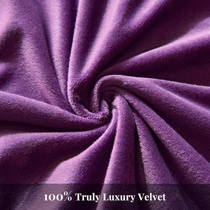 WARMDERN Purple Flannel Velvet Duvet Cover Queen Size Duvet Cover Bedding Sets, 3pcs Ultra Soft Luxury Textured Modern Crystal Velvet Duvet Covers with Zipper Closure(Purple, Queen)