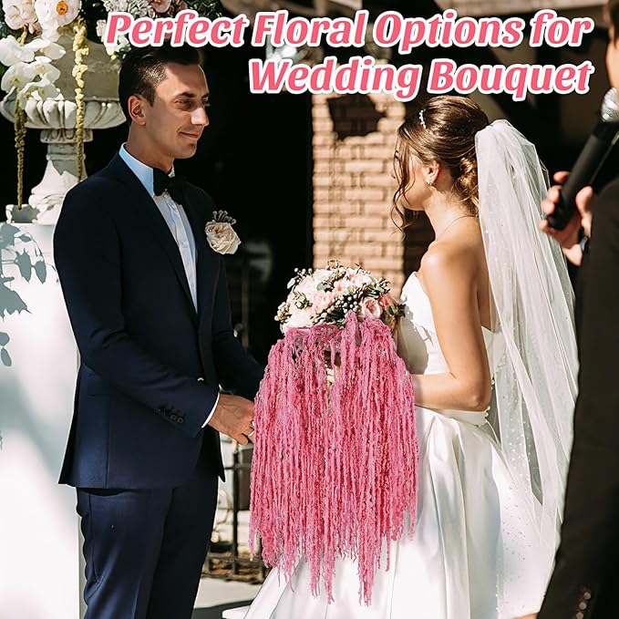 Suncalla 12 Pcs Rose Pink Spring Natural Dried Amaranthus Hanging Flowers Amaranthus Artificial Flowers for Wedding Arch Bouquet Floral Garland Wall Home Decoration (23 Inch)