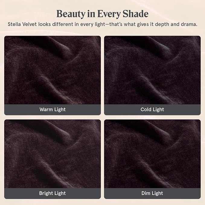 HiEnd Accents Stella Faux Silk Velvet Flanged Euro Sham Pillow Cover, 27x27 inch, Dark Violet, Romantic Western Modern Traditional Style Luxury Bedding