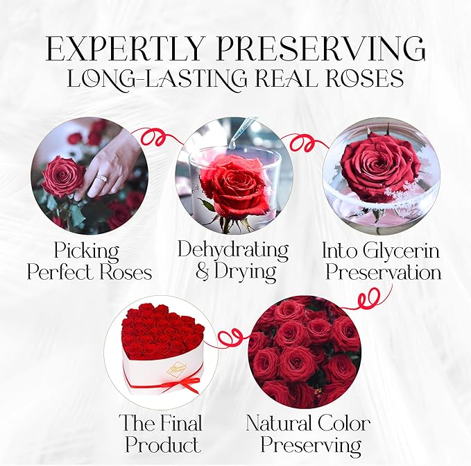 GLAMOUR BOUTIQUE Preserved Roses in a Box - Gifts for Her, Wife & Mom, Rose Flowers Forever Decor for Birthday Gift, Get Well Flower Bouquet Cased in White Box with Cover - Red - 27 (Color-Treated)