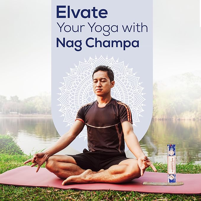 Satya Sai Baba Nagchampa Incense Sticks 250 gm Pack with Raajsee Insence Stick Holder, Inscent Sticks NagChampa Agarbatti, Natural & Chemical Free