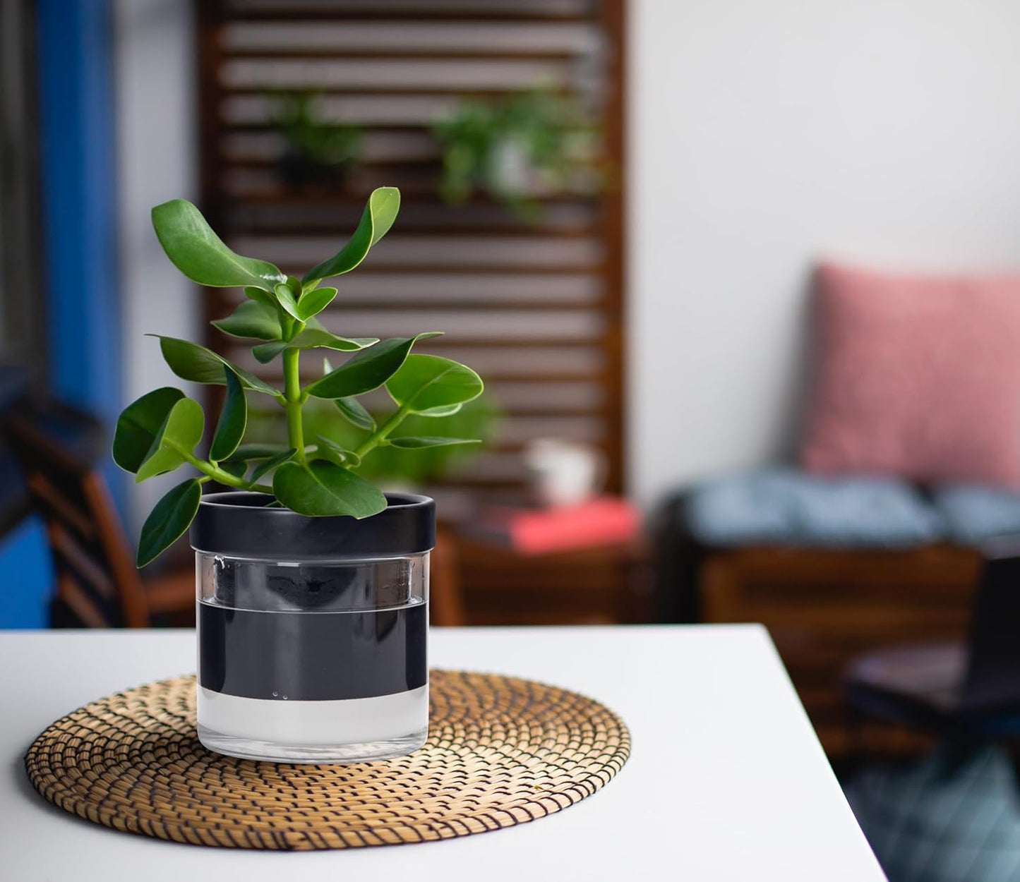 Phoenix Vine 4 Inch Self Watering Planter Pot, Black Terracotta Clay Pot with Glass Reservoir for Indoor Plants, Herbs, Flowers, Set of 2, 52-C-E-2