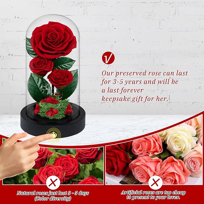 3 Preserved Flowers Roses in Glass Dome for Beauty and The Beast Decor Real Rosas Eternas for Women Mom Birthday,Forever Red Roses for Delivery, Gifts for Wife Girlfriend Her
