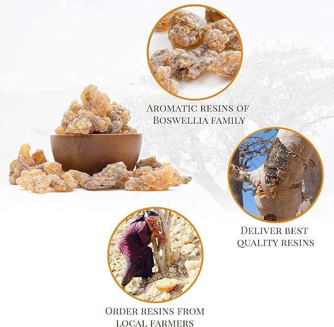 Frankincense Resin Incense by Igneous Products - 2025 Harvested High Grade Frankincense Incense (1 LB / 453.6g) of Somalia - لبان الذكر الاصلي | Church Incense | Luban | Incienso De Iglesia