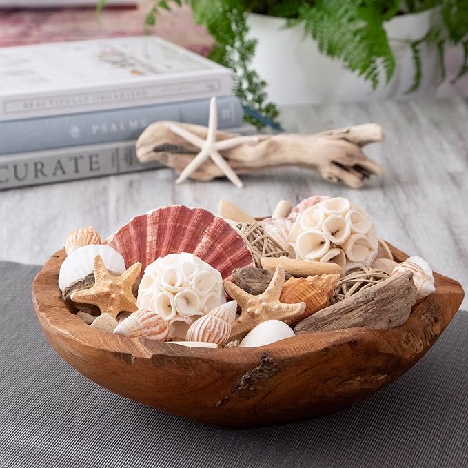 ANDALUCA Maison Box Fragrance Potpourri Decorative Vase & Bowl Filler Home Décor (Coastal Seashells)