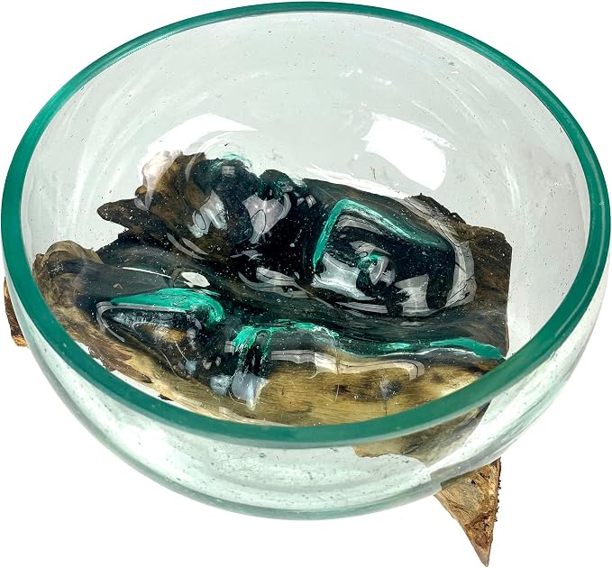 Decorative Vase, 10 Inch Diameter Molten Glass Bowl on Driftwood | Low 6 Inch Profile, Genuine Indonesian Wood, Hand Blown Clear Vessel with Bubbles and Organic Shapes