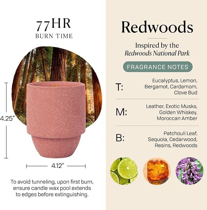 Paddywax Parks, Redwoods Scented Candle in Reusable Ceramic Jar with Crackling Wood Wick, Soy Candle with Approx. 77 Hour Burn Time, Decorative Gift Candles for Home, Redwood & Lily Scent, 11 oz