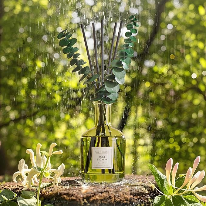 COCORRÍNA Olive Blossom Reed Diffuser – 6.76 oz Essential Oil with 8 Reeds & Real Eucalyptus Sticks, Home Fragrance for Bedroom or Bathroom Décor