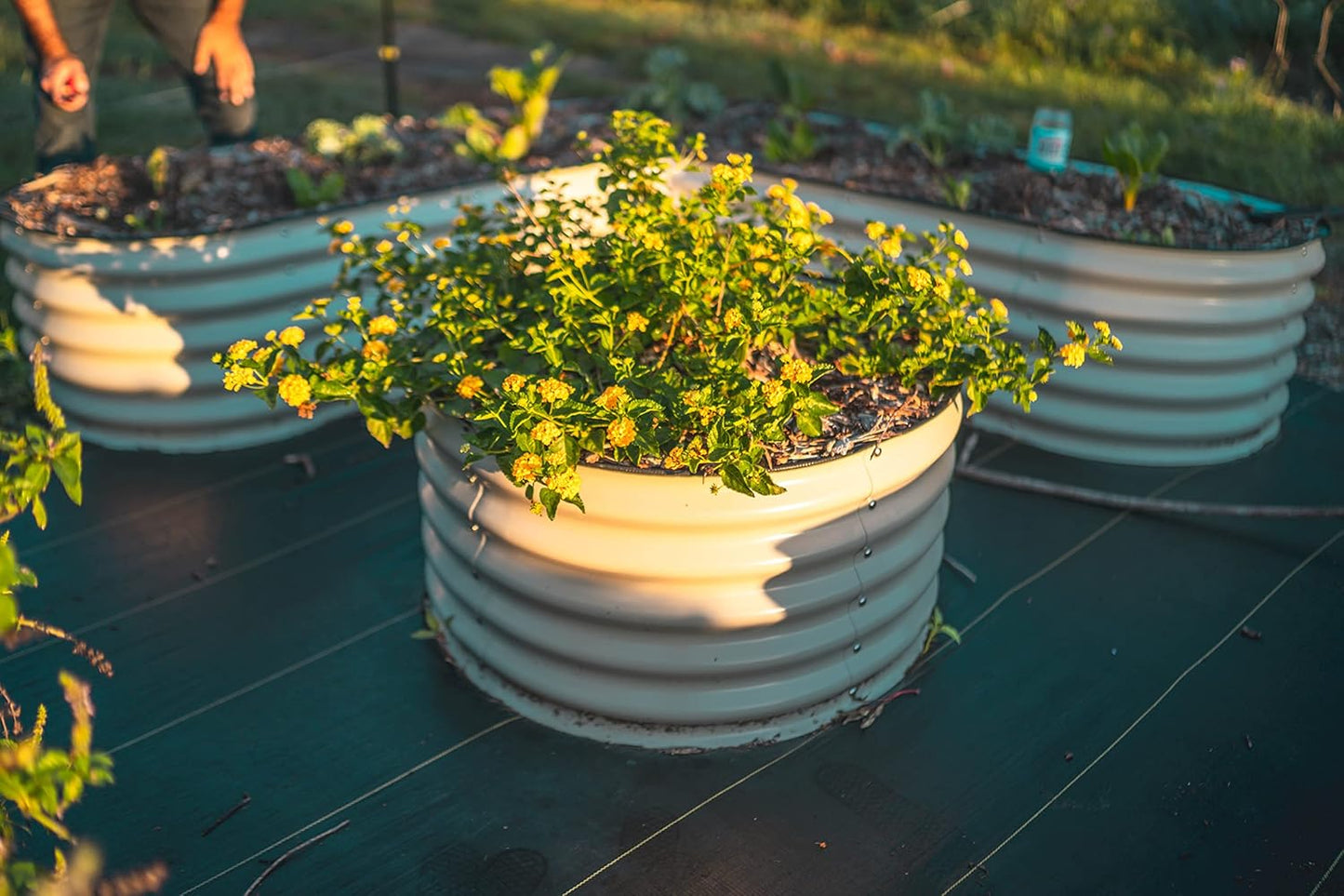 Vego garden 17" Tall 42" Round Raised Garden Bed Metal Raised Bed Planter Box for Vegetables Flowers Patio, Pearl White