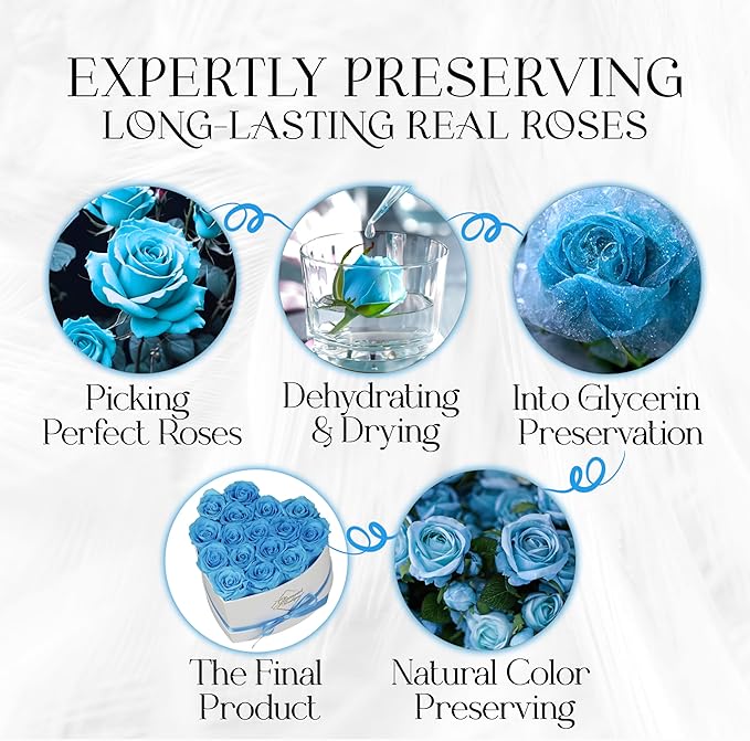 GLAMOUR BOUTIQUE Preserved Roses in a Box - Gifts for Her, Wife & Mom, Rose Flowers Forever Decor for Birthday Gift, Get Well Flower Bouquet Cased in White Box with Cover - Teal - 16 (Color-Treated)