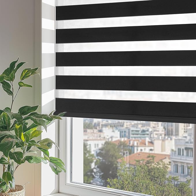 ChrisDowa Cordless Zebra Blinds for Windows, Dual Layer Free-Stop Light Filtering Window Roller Shades, Pull Down Privacy Zebra Shades for Home, Office, Bedroom, Door (63" W x 72" H, Black)