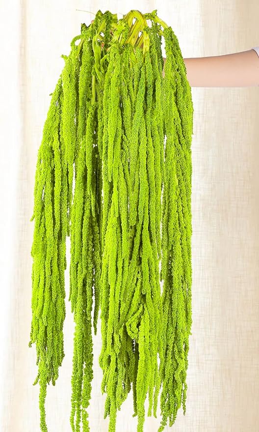 5Pcs Dried Amaranthus Hanging Flowers - 100% Natural 23“ Neon Green Preserved Amaranthus Flowers for Wedding Arch, Floral Arrangment, Wall Hanging