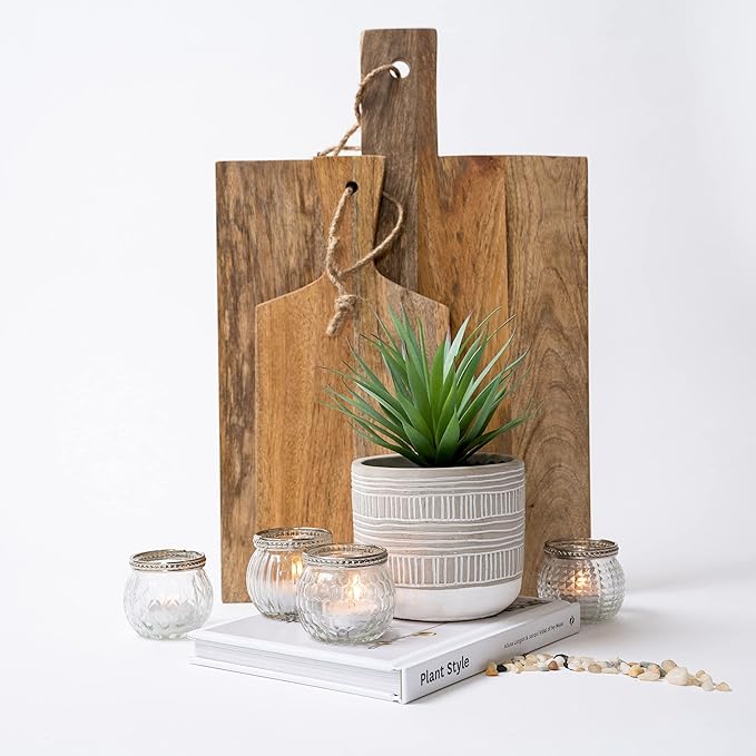 Kurrajong Farmhouse Artificial Plant | 8" Fake Plant for Desk Decor | Artificial Succulent in Pot | Fake Succulent | Faux Plant Indoor | Artificial Greenery for Shelf Decor