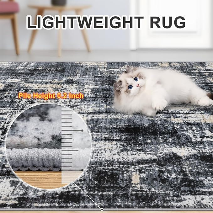 Area Rugs Living Room Rug - 4x6 Washable Modern Abstract Soft Neutral Non-Slip Carpet Large Indoor Floor Thin Carpets for Bedroom Dining Room Farmhouse Nursery Home Office Black Gold