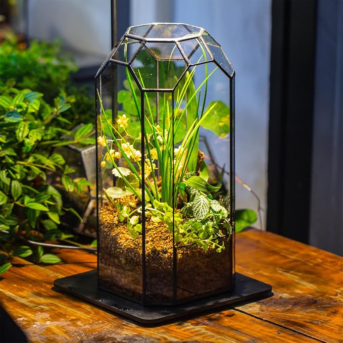 NCYP No Door Glass Geometric Octagon Open Terrarium 5.5"x5.5"x12.8" | Glass Planter for Tall Plants, Orchid, Small Begonia Pitcher, Home Garden Office Decor, Micro landscape (Terrarium Only)