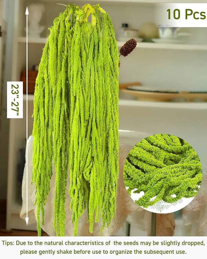 10Pcs Neon Green Dried Amaranthus Hanging Flowers – 23" Dyed Natural Preserved Flowers for Wedding Arch, Floral Garland, Rustic Vase Decor