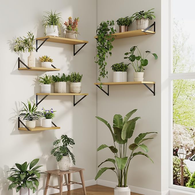 Axeman Deep Floating Shelves | 24 Inch Oak Wall Shelves Set of 2 | 10 Inch Deep Wood Floating Shelves for Wall | 24" W x 10" D Oak Shelves for Living Room Bathroom Kitchen