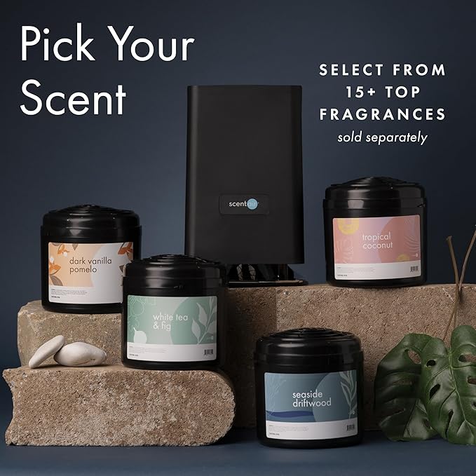 ScentAir Whisper Home Monthly Plug-in Refill, Fragrance Cartridge for Home and Office, Amazon Exclusive, Leather Woods