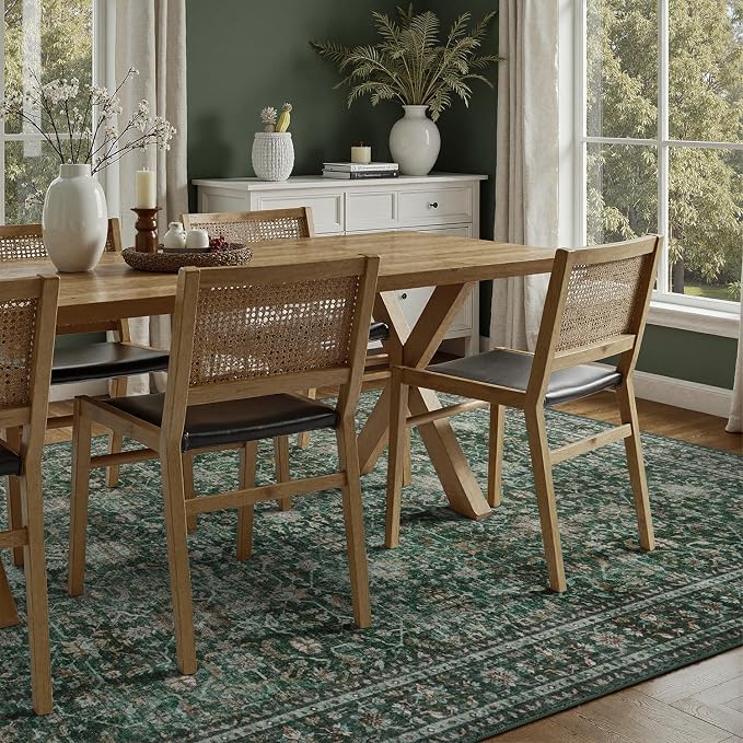DCX Green 8x10 Rug, Kid & Pet Friendly with Rubber Back Non Slip, Machine Washable Stain Resistant Vintage Traditional Distressed Carpet, Rug for Living Room, Bedroom, Neutral Home Decor