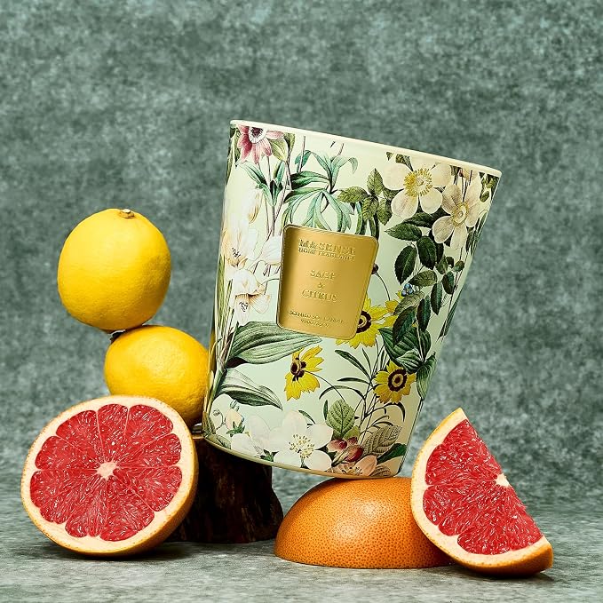 M&SENSE Sage Citrus Soy Candle, 14.1oz, Refresh Home Fragrance | 60H Long Burn, Non-Toxic, Home Freshener, Stress Relief, Relaxation Housewarming Gift