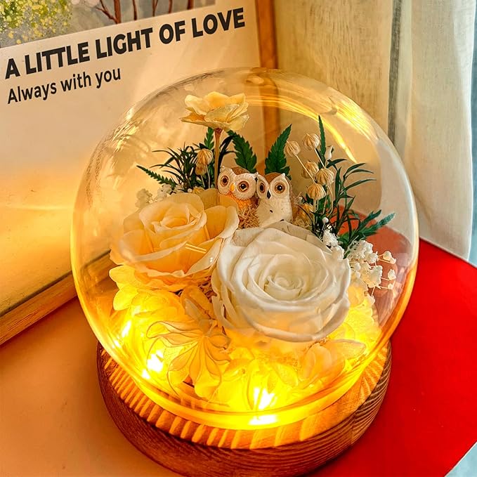 Preserved Flowers Roses Gift for Mom, Wife, Grandma - Forever Real Roses with Owl Decor - Unique Birthday, Mothers Day Gifts for Women - Flower for Delivery