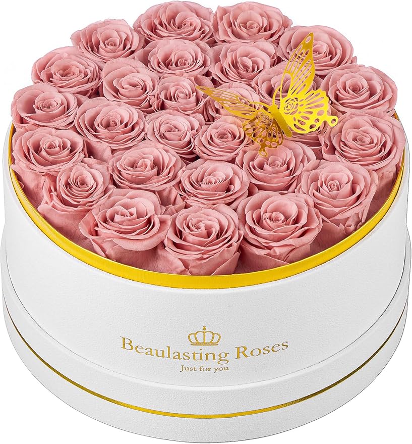 27 Preserved Roses Forever Flowers Real Roses in a Box Mother's Day Birthday Flowers for Her Mom Women Wife Valentine's Day, Dusty Pink Roses