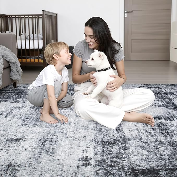 10x12 Area Rug Living Room Rug: Washable Modern Abstract Soft Thin Rug Indoor Floor No Slip Stain Resistant Carpet for Bedroom Dining Room Farmhouse Nursery Home Office - Dark-Black