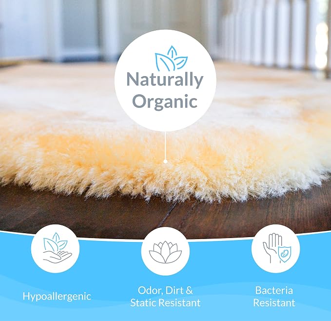Sheepskin Ranch Sofsheep Medical Sheepskin Heel Protector, Pressure Relief for Bed Sores, Ulcers, Sensitive Skin, Hospital Grade, Chrome Free, Washable, Hypoallergenic, Adjustable, Real Wool, Pair
