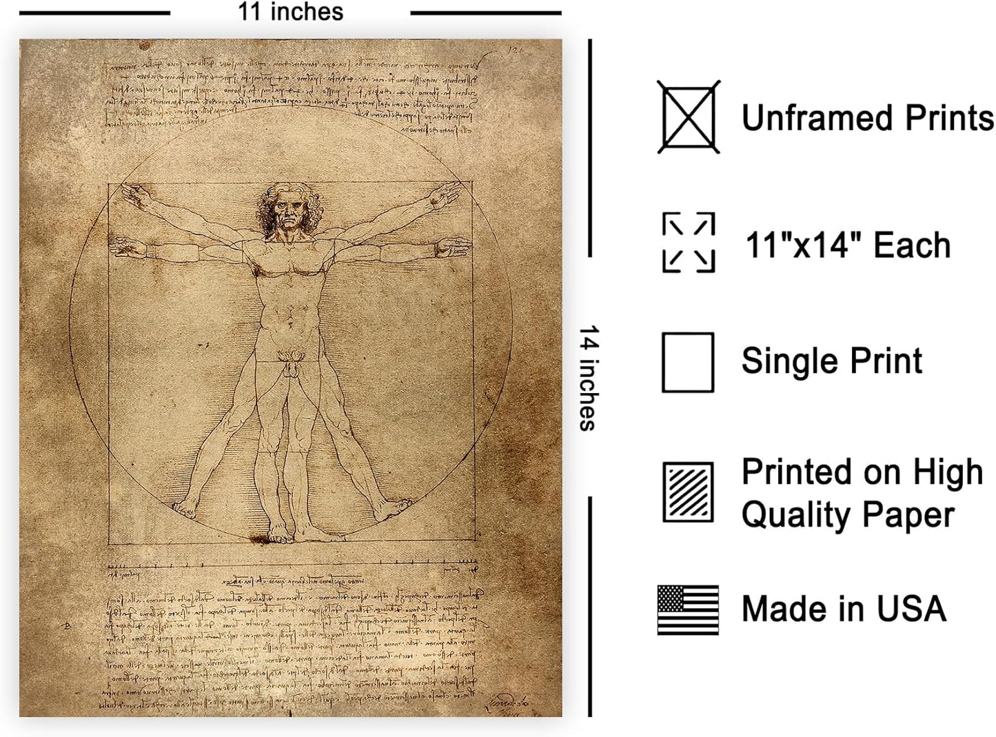 Poster Master Vintage Leonardo Da Vinci Poster - Retro Vitruvian Man Print - Drawing Art - Renaissance Art - Gift for Men & Women - Decor for Living Room, Bedroom or Office - 11x14 UNFRAMED Wall Art