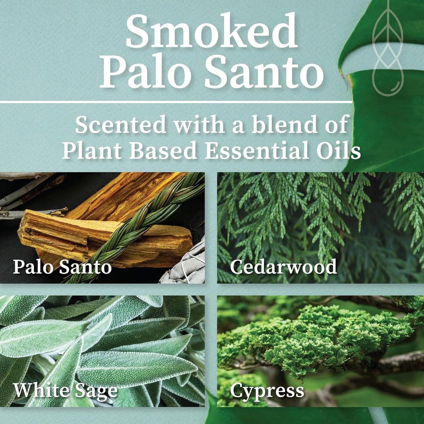 Hemlock Park Wood Wick Candle Handcrafted with Natural Coconut Wax and Essential Oils (Amber & Gold 7.2 oz, Smoked Palo Santo)