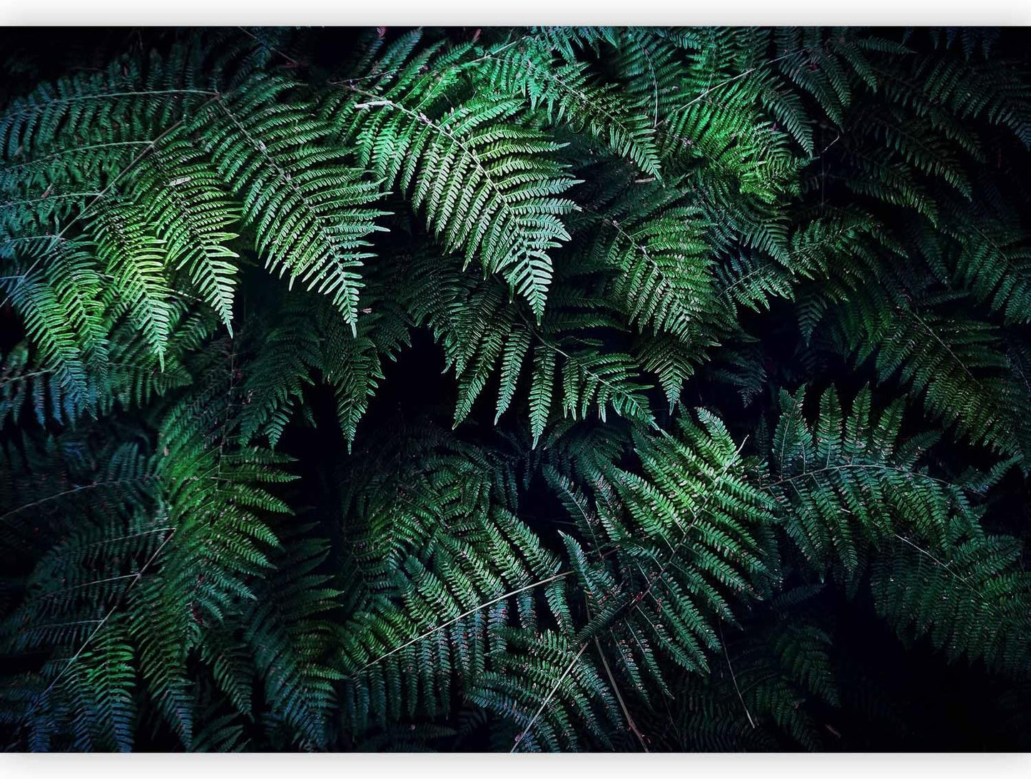 artgeist Wall Mural 3D Effect 98x69 in - XXL Non-Woven Wallpaper Fleece Wall Decor Photo Print Picture Image Design Home Tropical Leaves b-C-0564-a-a