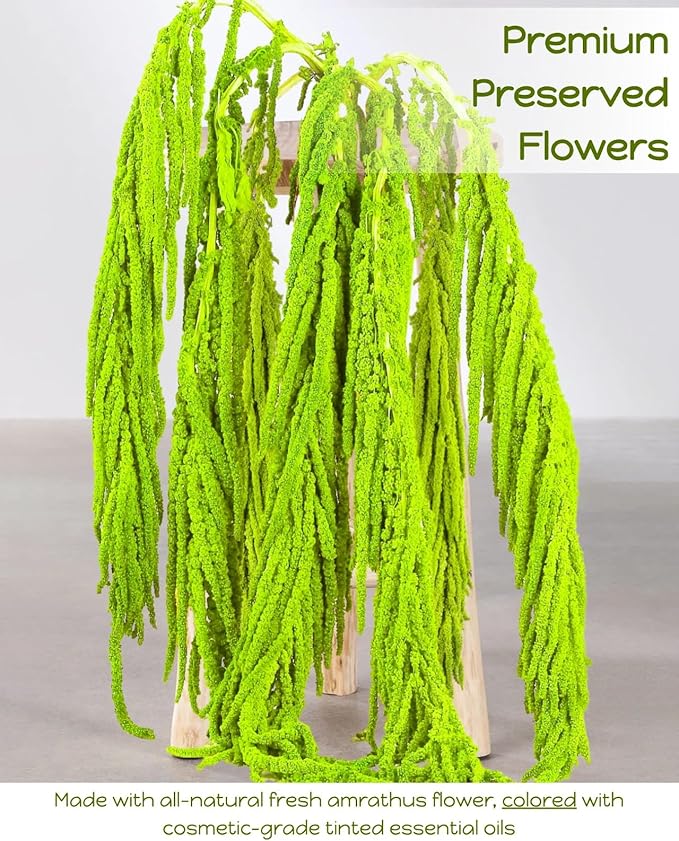 10Pcs Neon Green Dried Amaranthus Hanging Flowers – 23" Dyed Natural Preserved Flowers for Wedding Arch, Floral Garland, Rustic Vase Decor