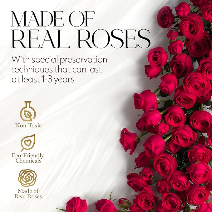 GLAMOUR BOUTIQUE Flowers Forever Gift Box, 12 Real Preserved Roses in Velvet Black Box, Floral Gift for Her, Mom or Wife for Birthday, Mother’s Day, Anniversary or Graduation, Red (Color-Treated)