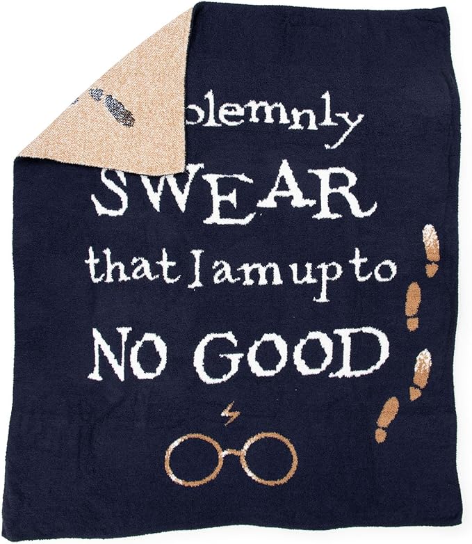Jay Franco Plush Throw Blanket – Soft & Fuzzy 50x60 Inch Throw for Couch or Bed – Cozy Home Décor for Living Room & Bedroom, Dark Blue - Harry Potter