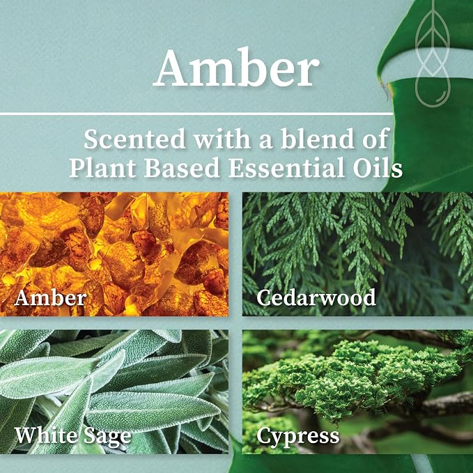 Hemlock Park Amber Apothecary Scented Candle | Crackling Wood Wick, Botanical Fragrance & Coconut Apricot Wax | Up to 60 Hour Burn Time | 8 oz | Made in USA